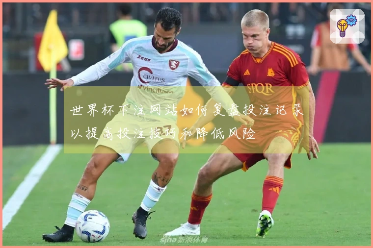 世界杯下注网站如何复盘投注记录以提高投注技巧和降低风险