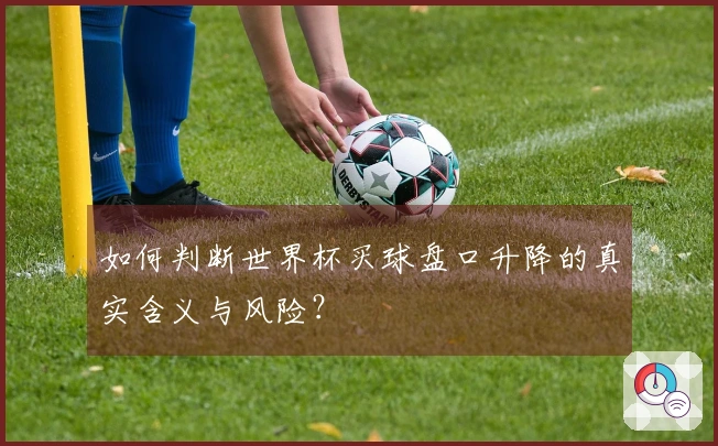 如何判断世界杯买球盘口升降的真实含义与风险？