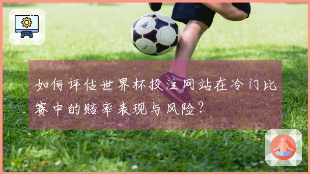 如何评估世界杯投注网站在冷门比赛中的赔率表现与风险？