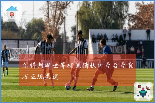 怎样判断世界杯竞猜软件是否是官方正规渠道