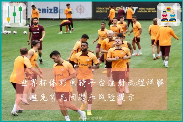 世界杯体彩竞猜平台注册流程详解，避免常见问题和风险提示