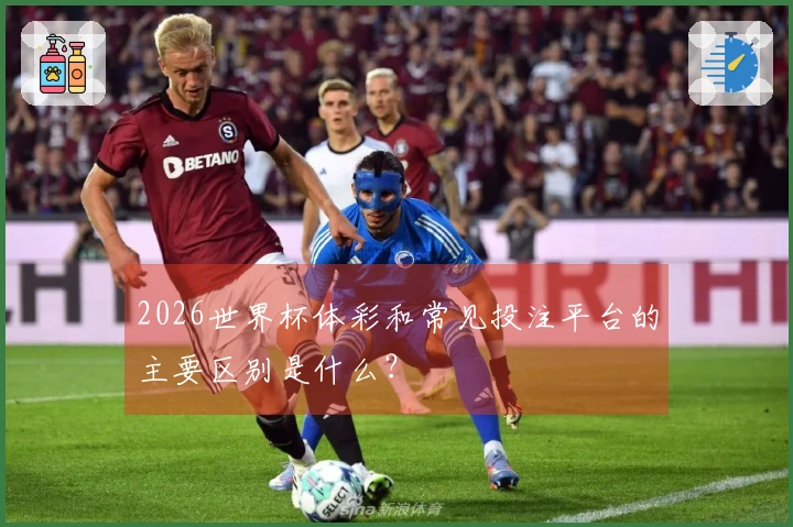 2026世界杯体彩和常见投注平台的主要区别是什么？