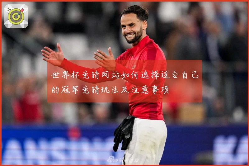 世界杯竞猜网站如何选择适合自己的冠军竞猜玩法及注意事项