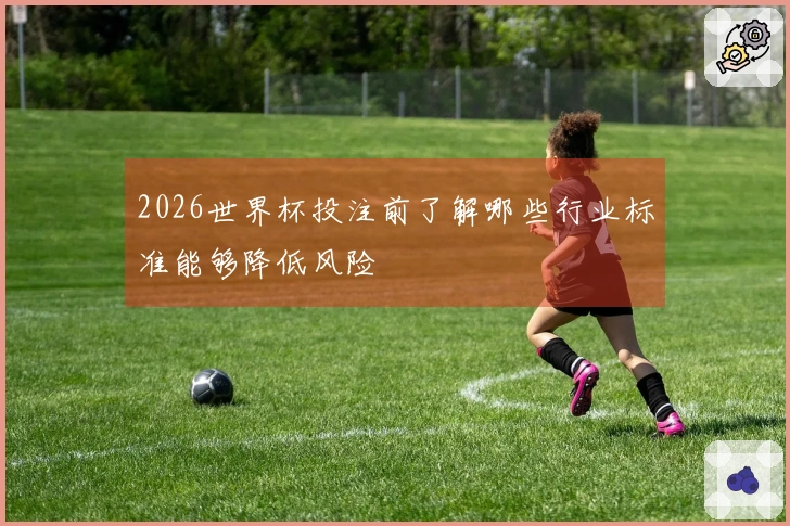 2026世界杯投注前了解哪些行业标准能够降低风险