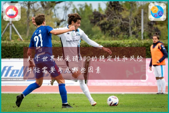 关于世界杯竞猜app的稳定性和风险评估需要考虑哪些因素