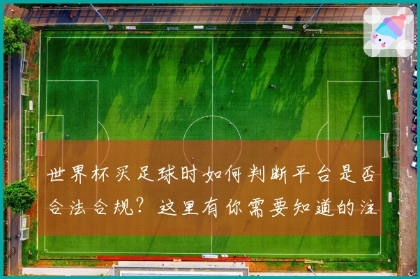 世界杯买足球时如何判断平台是否合法合规？这里有你需要知道的注意事项