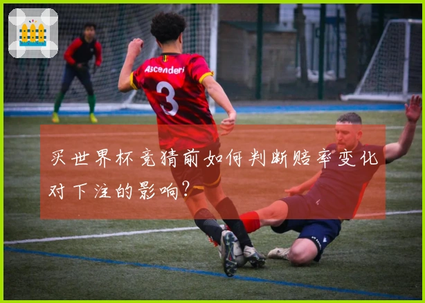 买世界杯竞猜前如何判断赔率变化对下注的影响？