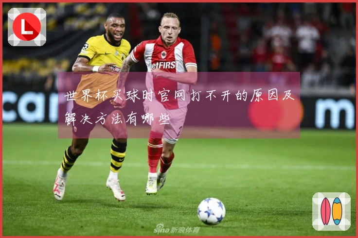 世界杯买球时官网打不开的原因及解决方法有哪些