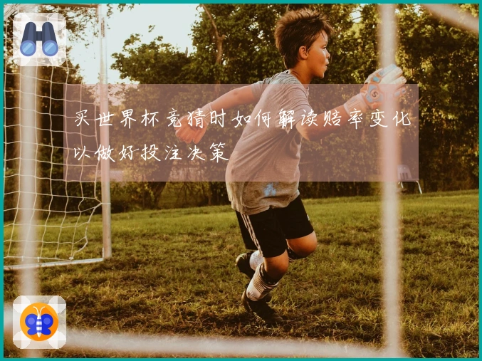 买世界杯竞猜时如何解读赔率变化以做好投注决策