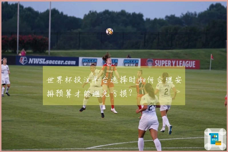 世界杯投注平台选择时如何合理安排预算才能避免亏损？
