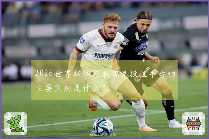 2026世界杯体彩和常见投注平台的主要区别是什么？