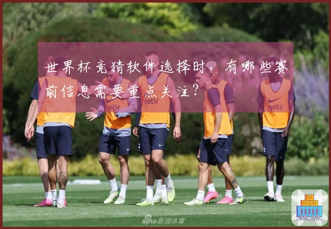世界杯竞猜软件选择时，有哪些赛前信息需要重点关注？