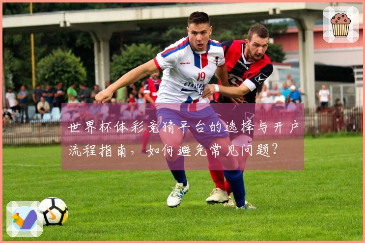 世界杯体彩竞猜平台的选择与开户流程指南，如何避免常见问题？