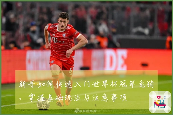 新手如何快速入门世界杯冠军竞猜，掌握基础玩法与注意事项