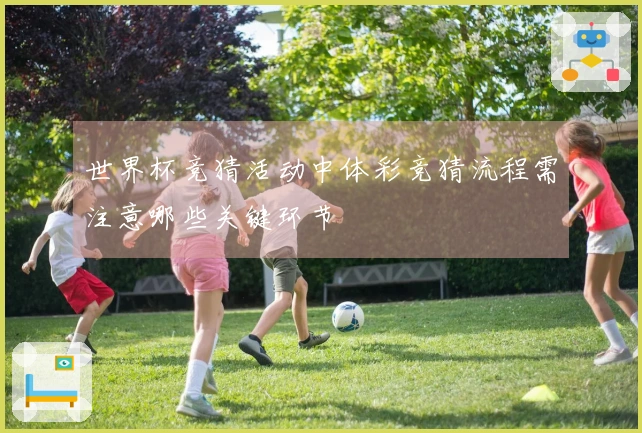 世界杯竞猜活动中体彩竞猜流程需注意哪些关键环节