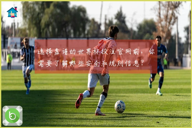 选择靠谱的世界杯投注官网前，你需要了解哪些安全和规则信息？