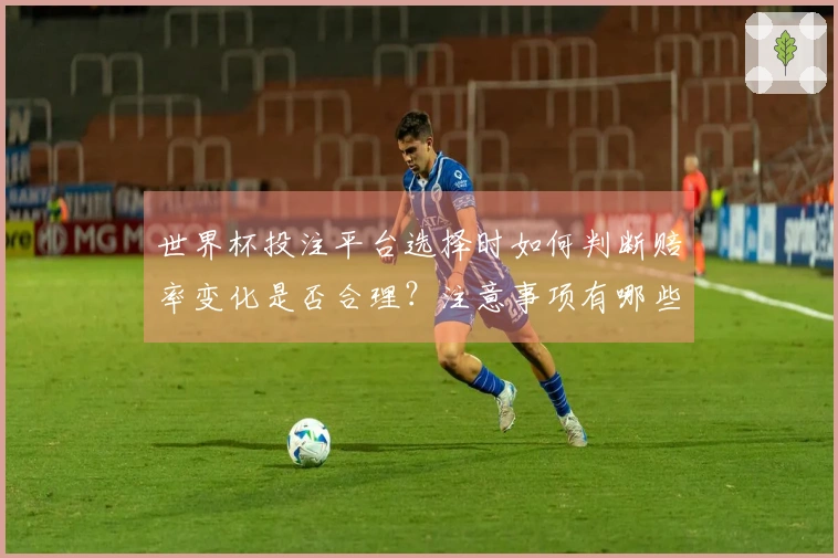 世界杯投注平台选择时如何判断赔率变化是否合理？注意事项有哪些？