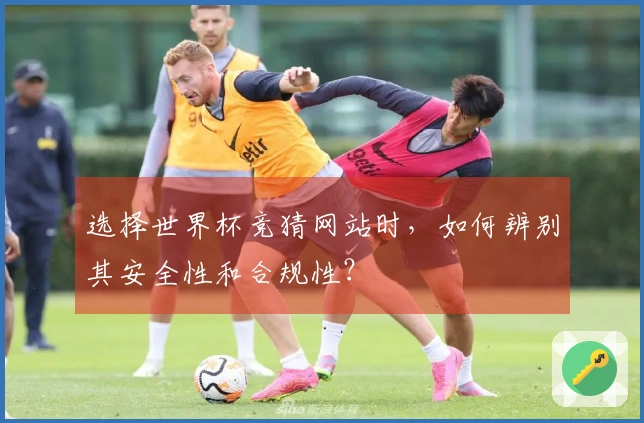 选择世界杯竞猜网站时，如何辨别其安全性和合规性？