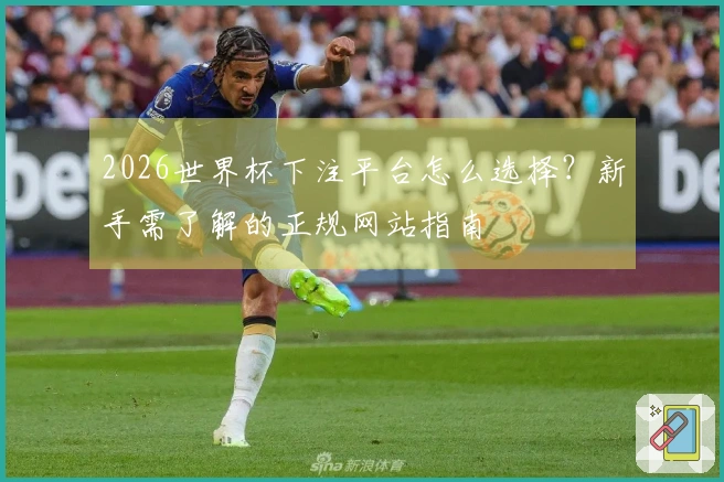 2026世界杯下注平台怎么选择？新手需了解的正规网站指南