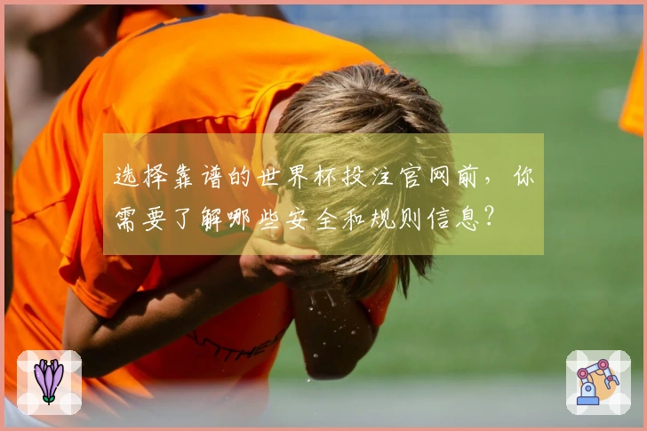 选择靠谱的世界杯投注官网前，你需要了解哪些安全和规则信息？