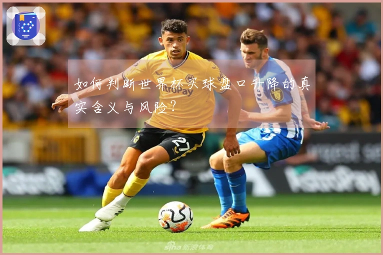 如何判断世界杯买球盘口升降的真实含义与风险？