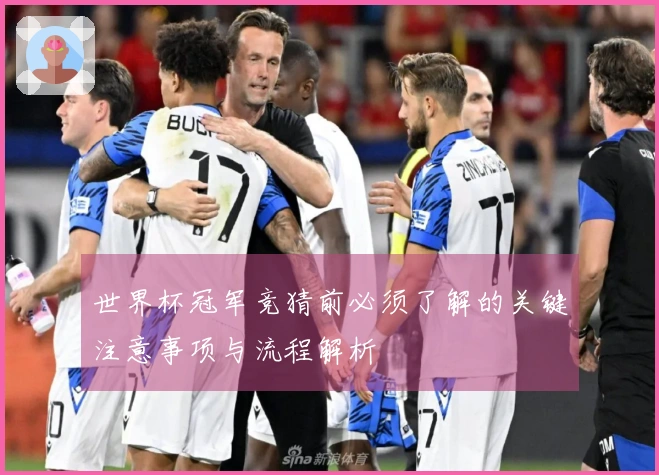 世界杯冠军竞猜前必须了解的关键注意事项与流程解析