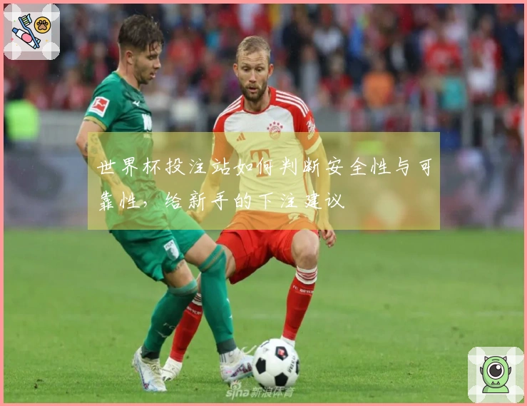 世界杯投注站如何判断安全性与可靠性，给新手的下注建议